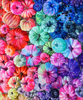 Pumpkins - Art Print