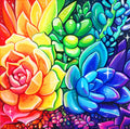 Rainbow Succulents - Art Print